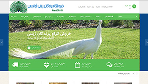 طراحی سایت فروشگاه اینترنتی پرندگاه زینتی ایران