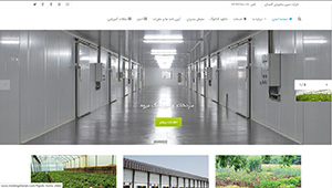 طراحی سایت شرکت مبین مشاور گلستان